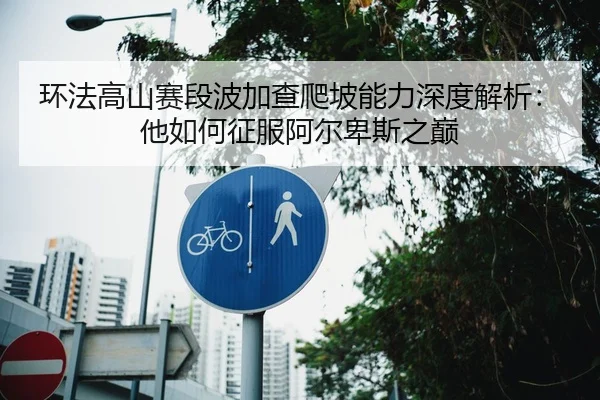 环法高山赛段波加查爬坡能力深度解析：他如何征服阿尔卑斯之巅